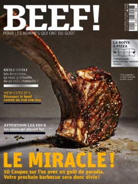 beef n°22