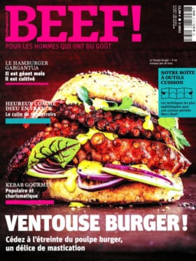 couverture beef n°33