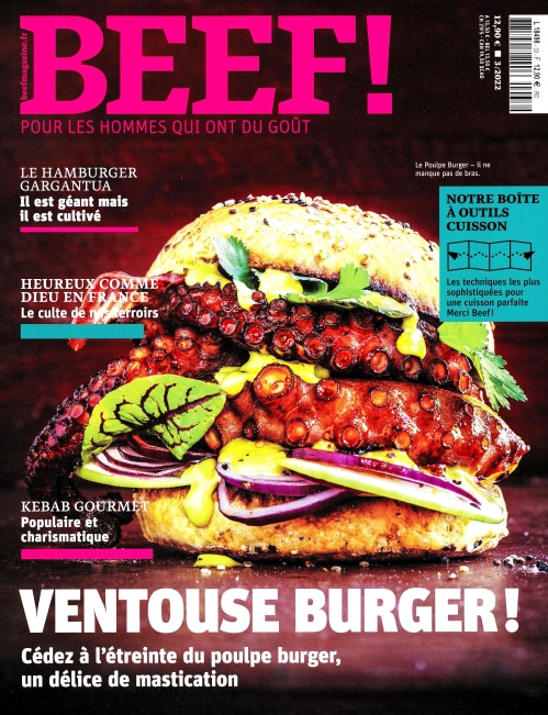 couverture beef n°33