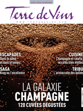 Couverture Terre de vins Hors-série 40 Champagne