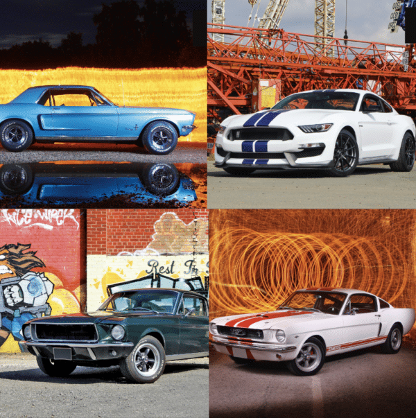 Posters Mustang Shelby